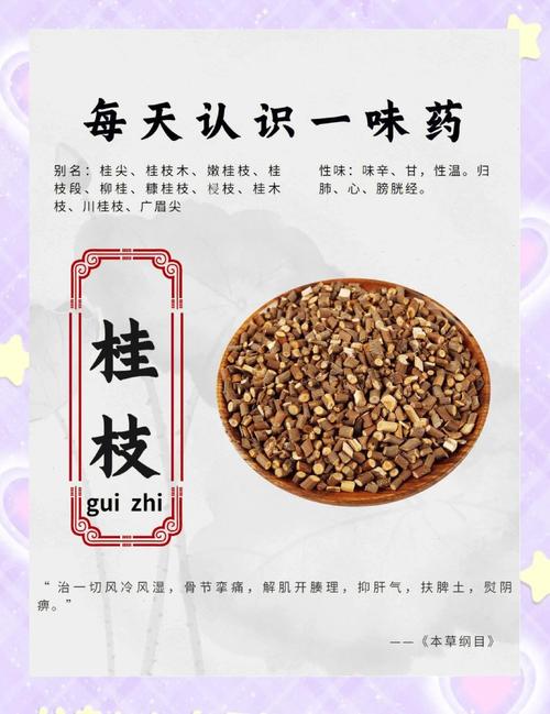 桂花籽有什么功效和作用?食用安全性与药用价值科普 桂花籽有什么功效和作用?食用安全性与药用价值科普