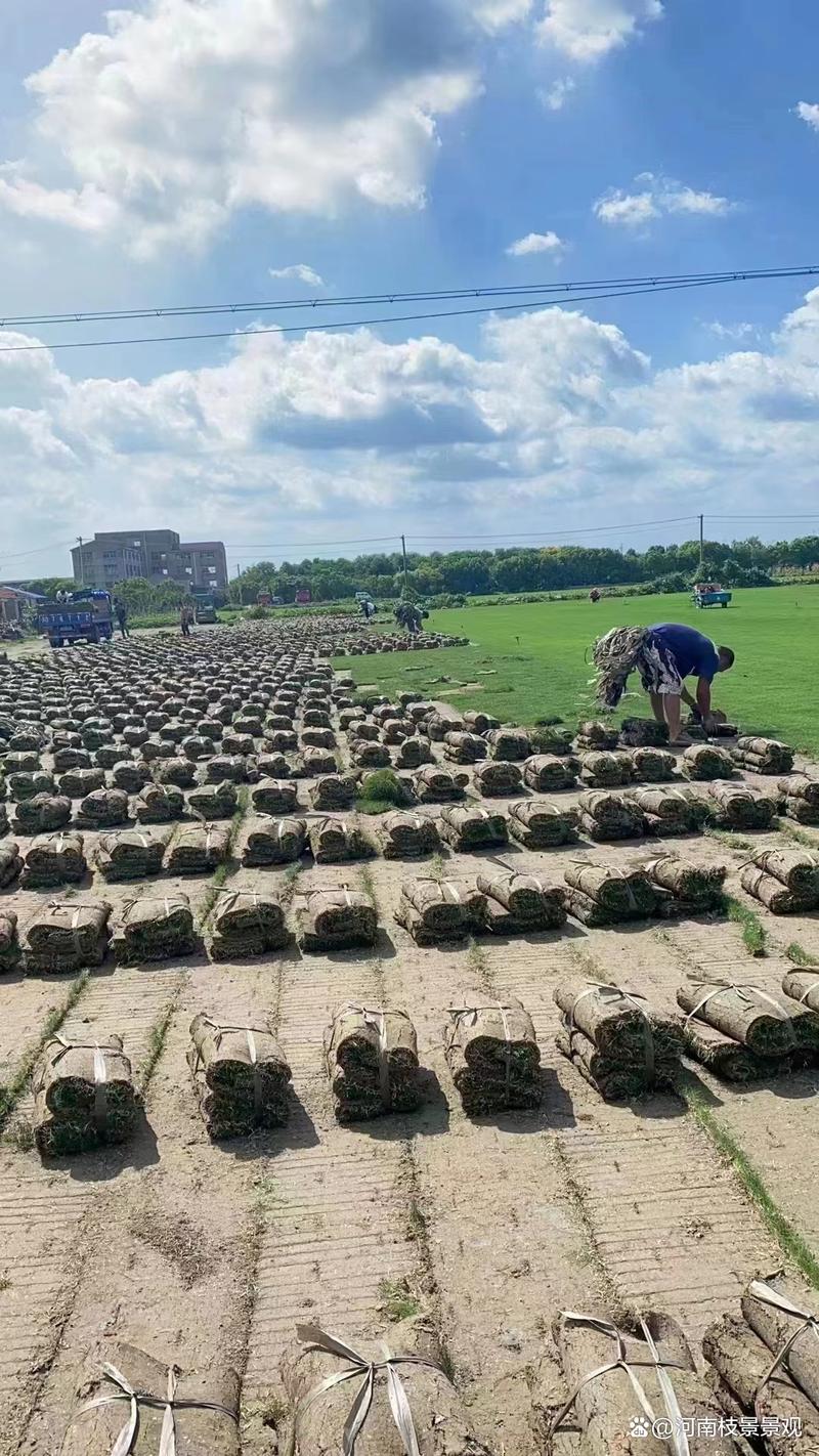 数量梯度：批发价仅为零售价的60%
