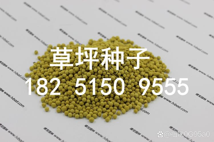 运输成本：占10%–30%，距离决定