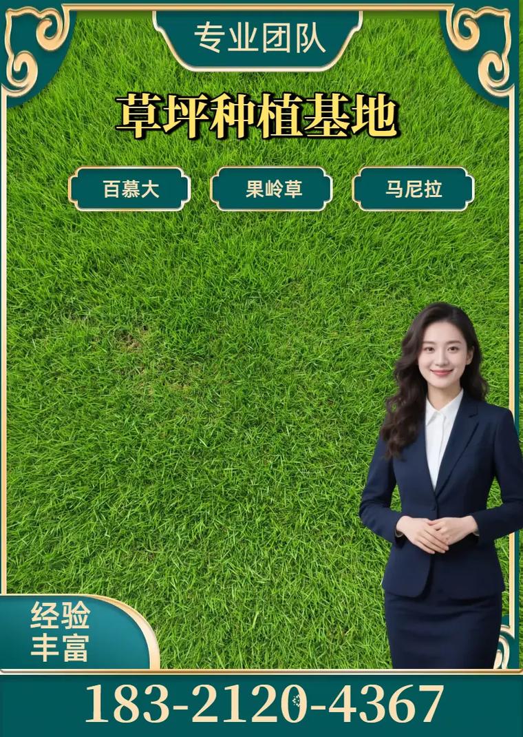 综合价格速查表
