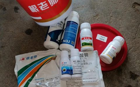 茄子根腐病用什么药灌根好？安全用药与防治指南