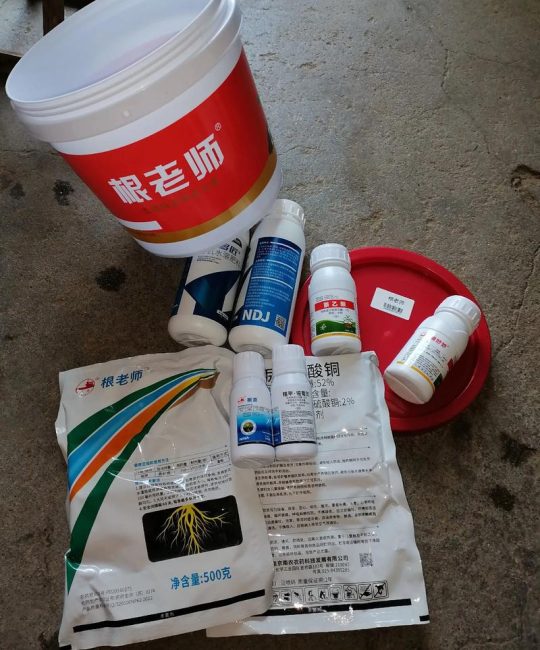茄子根腐病用什么药灌根好？安全用药与防治指南