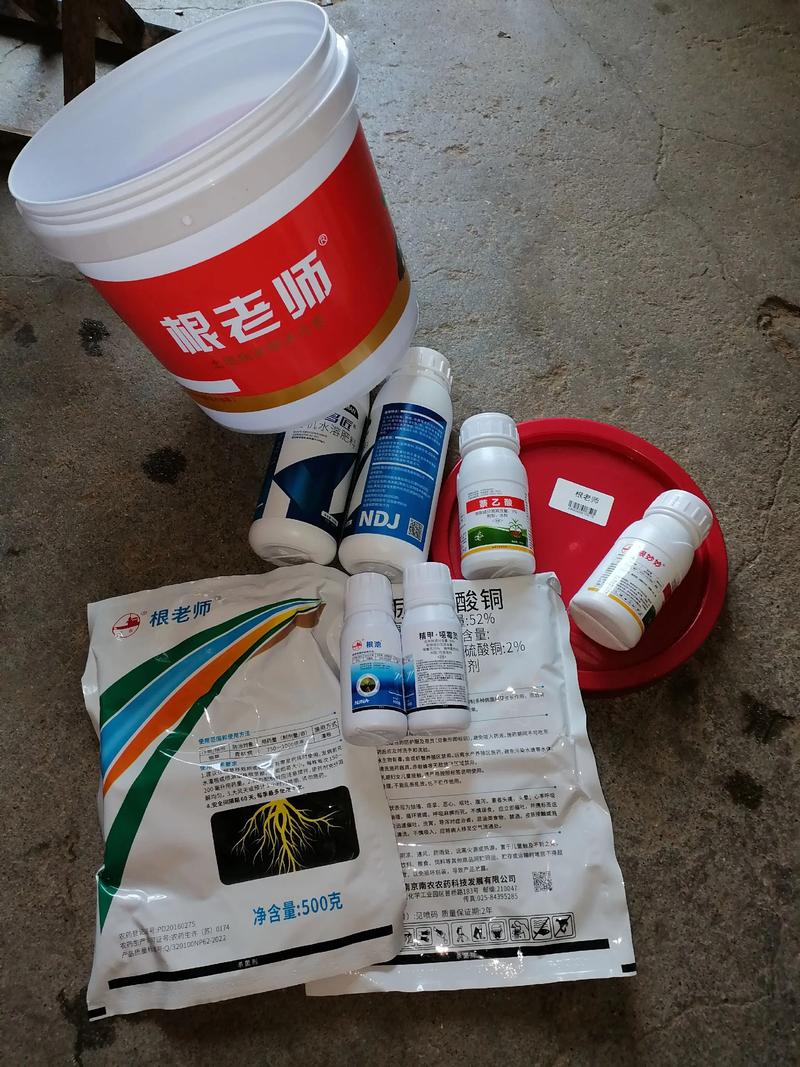 茄子根腐病用什么药灌根好?安全用药与防治指南 茄子根腐病用什么药灌根好?安全用药与防治指南