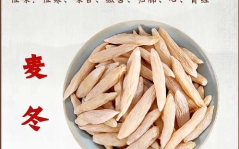 阔叶麦冬与细叶麦冬的区别：6维度对比与种植指南