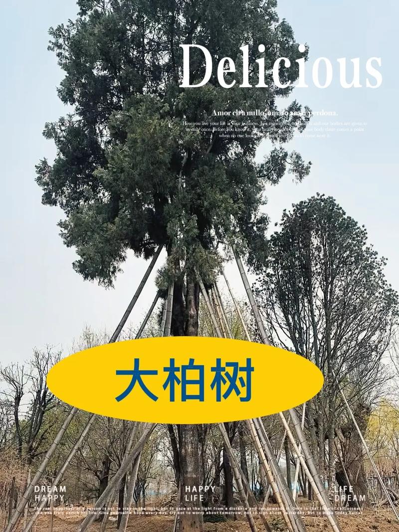采购数量决定议价空间