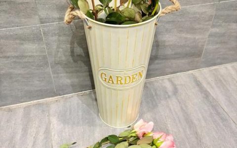 粉玫瑰如何醒花？一次说清深水醒花到瓶插养护全程