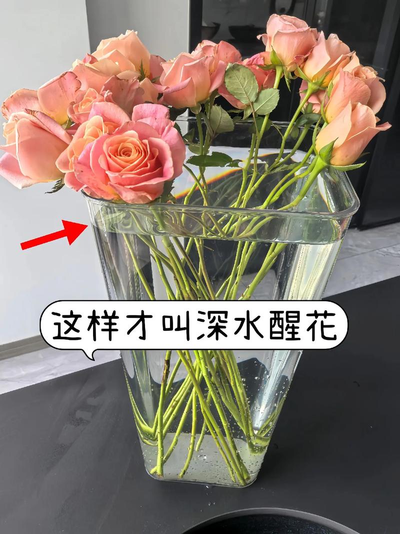 品种基础档案：粉玫瑰切花特性