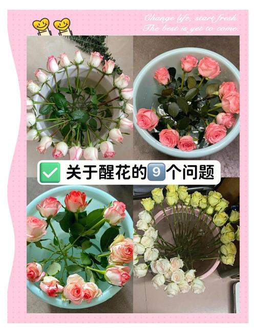 越冬与越夏管理（针对活体植株）