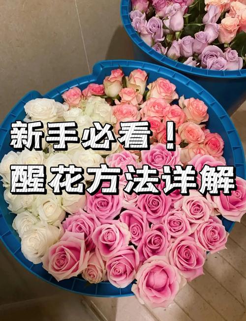 FAQ（与正文一致）