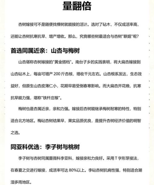 嫁接杏树选择砧木的黄金标准：西伯利亚杏、山杏与普通杏的适配方案