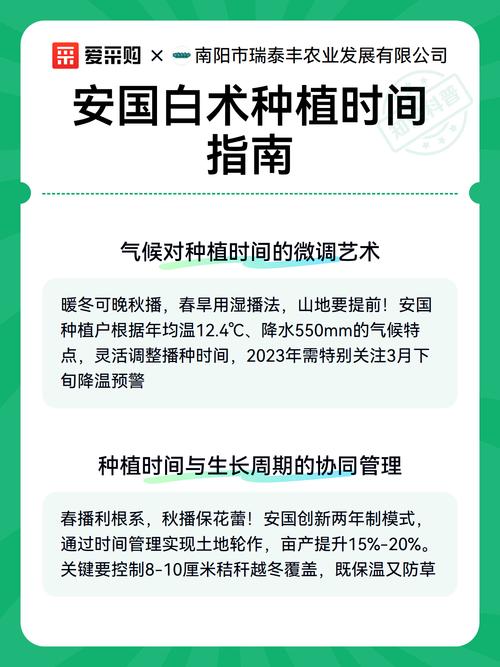 白术什么时间种植?从选时到成活的完整种植指南 五、浇定根水