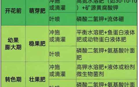 第一年栽的樱桃树，如何科学施肥才能打好丰产基础？