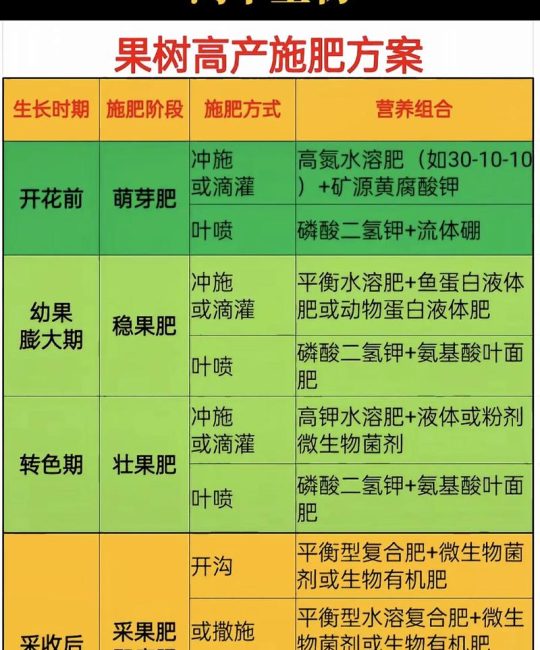 第一年栽的樱桃树，如何科学施肥才能打好丰产基础？