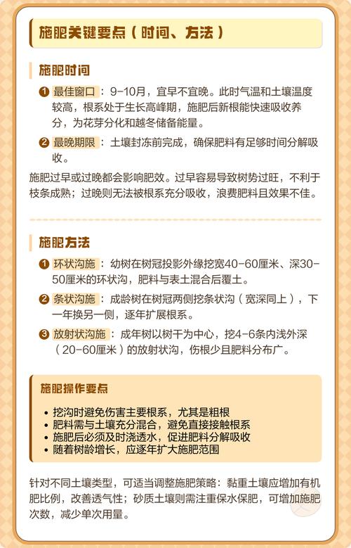 第一年栽的樱桃树,如何科学施肥才能打好丰产基础? 常见施肥错误与补救措施