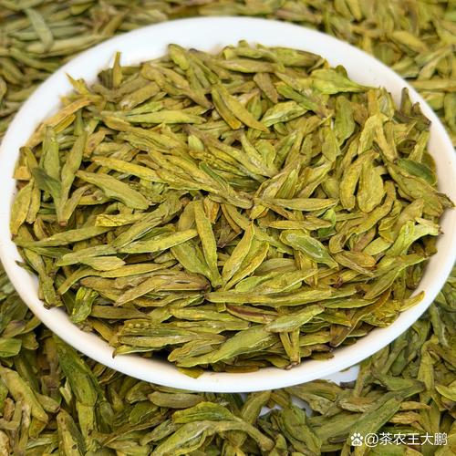 自己种茶树哪个品种好?龙井43、福鼎大白茶、铁观音6维度深度对比 一、6维度对比表格
