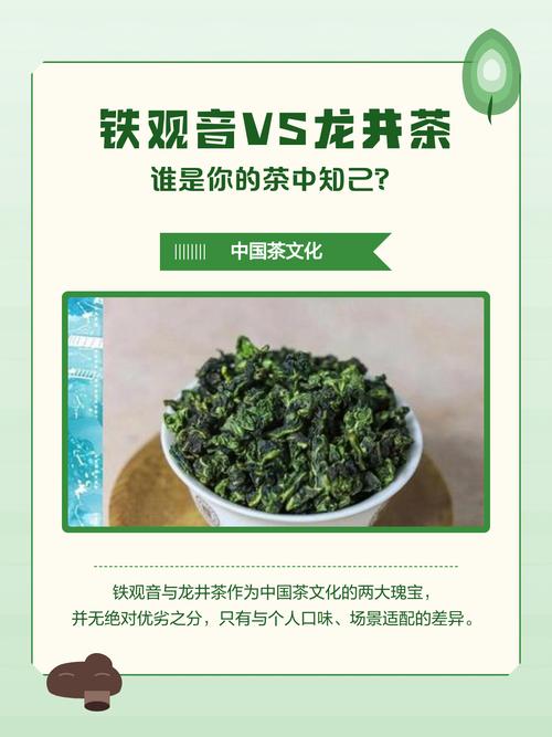 自己种茶树哪个品种好?龙井43、福鼎大白茶、铁观音6维度深度对比 四、养护小贴士(通用)
