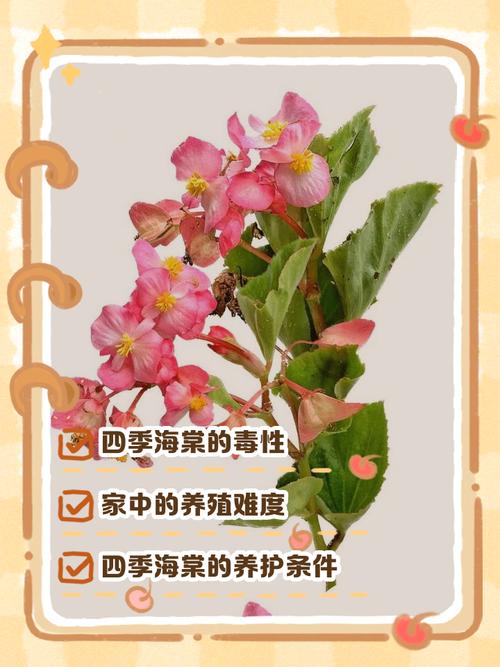 二、影响开花的关键因素与具体参数