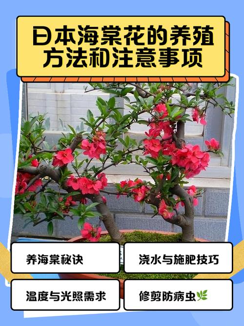 四、判断误区提醒