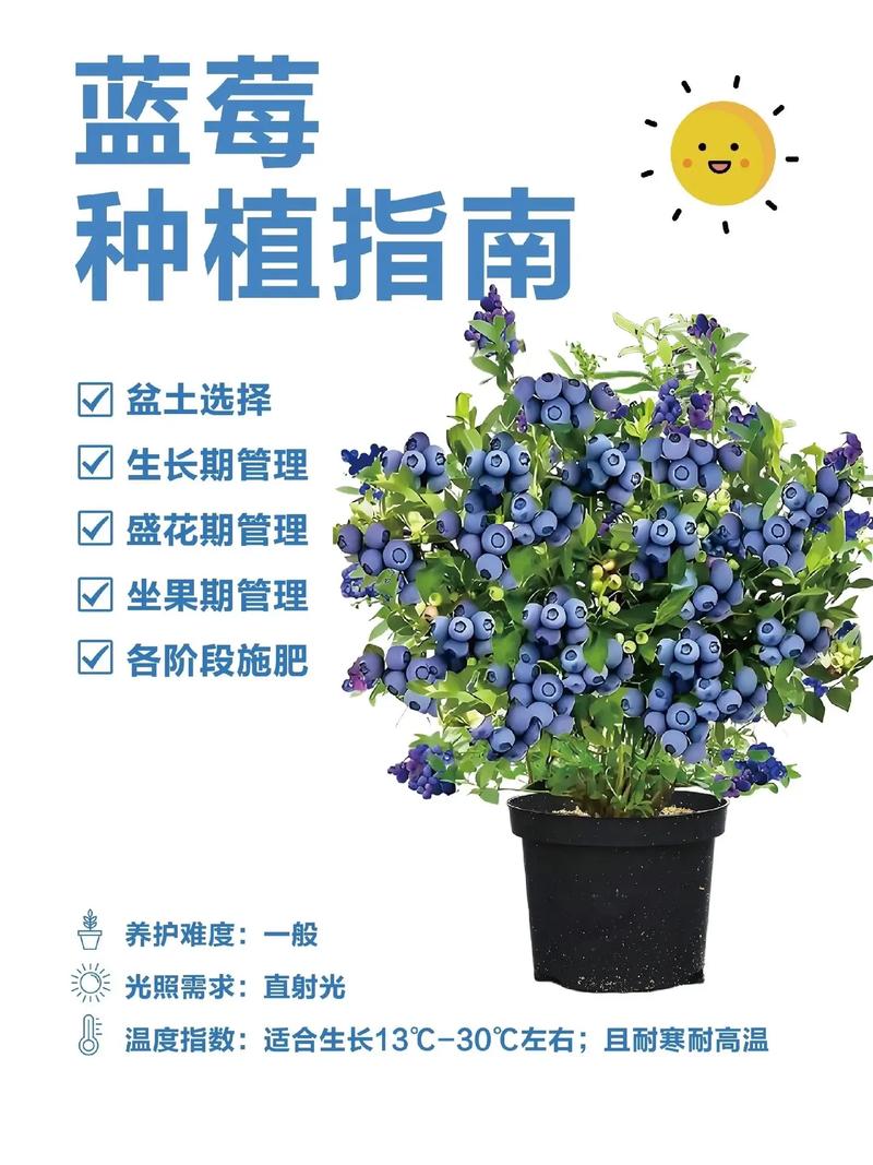 4. 栽植深度控制