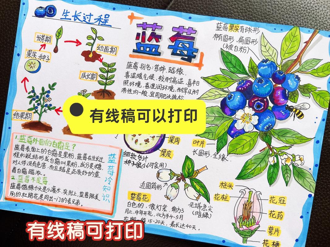 6. 缓苗期管理