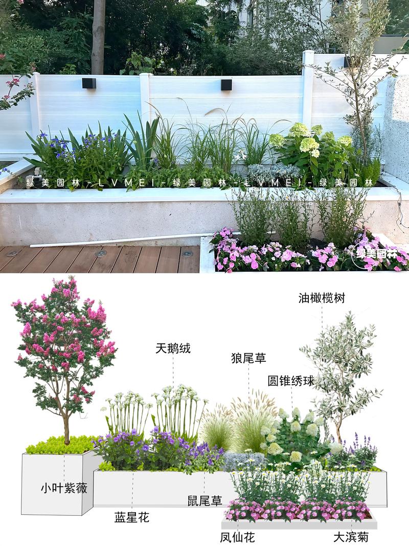 庭院内适合种植什么花和树?一篇科学选址与养护指南 第二步:精选推荐品种(兼顾观赏与安全)