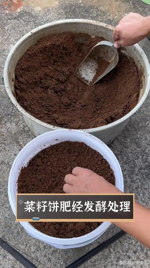 二、菜籽饼种土豆的三大优点