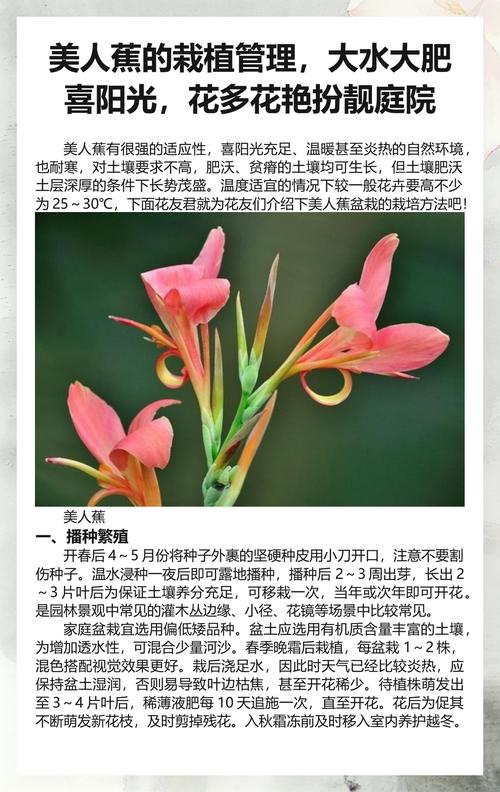 三、栽前处理