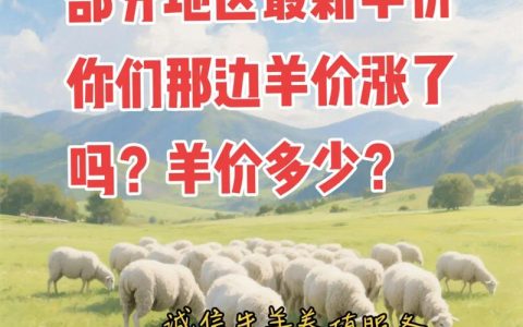 羊苗价格多少钱一只？2025年参考区间及影响因素全面解析