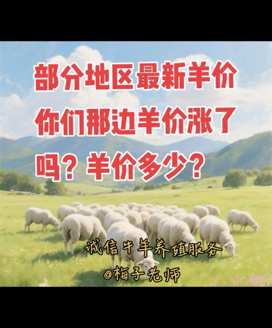 羊苗价格多少钱一只？2025年参考区间及影响因素全面解析