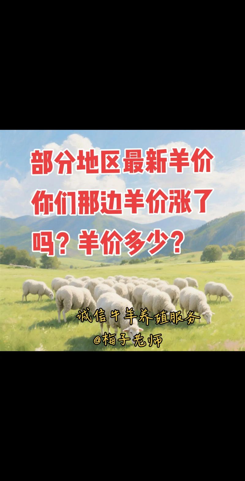 羊苗价格多少钱一只?2025年参考区间及影响因素全面解析 羊苗价格多少钱一只?2025年参考区间及影响因素全面解析