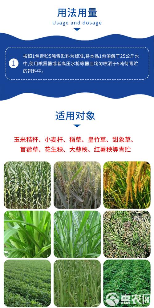 皇竹草怎么青贮?掌握这4个关键步骤,发酵成功率高营养损失少 第三步:切短压实,密封发酵