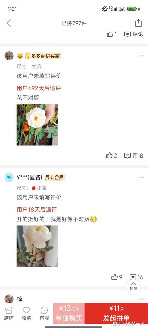 种子花卉购买渠道全攻略:避开假种劣种,选对靠谱供应商 总结:三要三不要