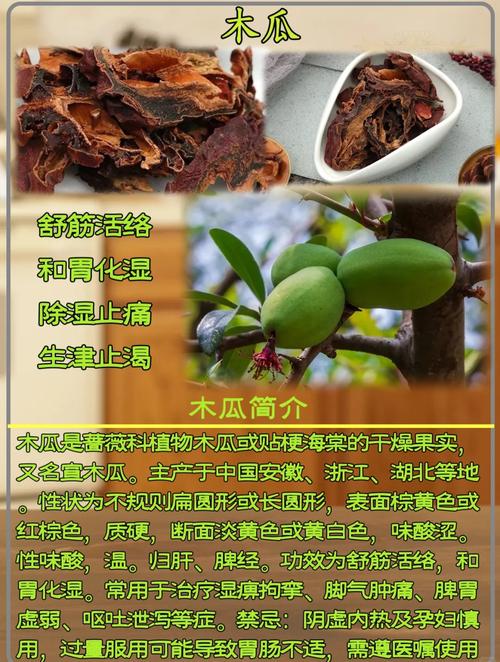 大木瓜怎么吃?从庭院到餐桌,解锁园艺果实的美味秘诀 结语