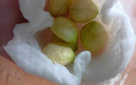 枇杷的种子长什么样子