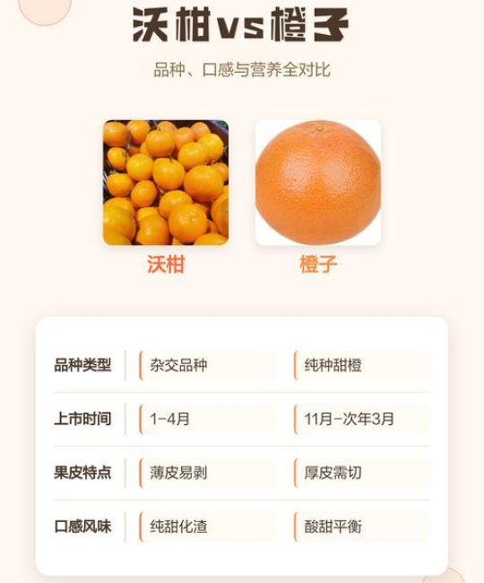 橙子和沃柑有什么区别？6维度深度对比与选购指南