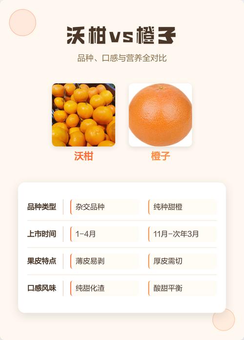 橙子和沃柑有什么区别?6维度深度对比与选购指南 橙子和沃柑有什么区别?6维度深度对比与选购指南