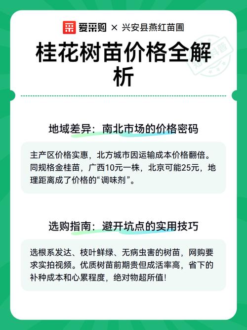 丹桂树苗多少钱一株?2025年最新价格参考与影响因素全解析 运输:物流成本占10%-30%