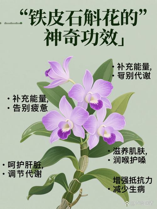 石斛花对女性的好处:安全食用与药用常识科普 食用常识:怎么吃?吃多少?