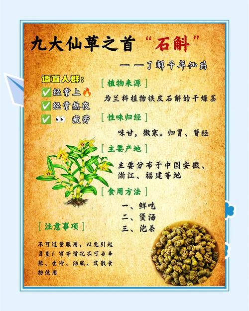 石斛花对女性的好处:安全食用与药用常识科普 常见误区澄清