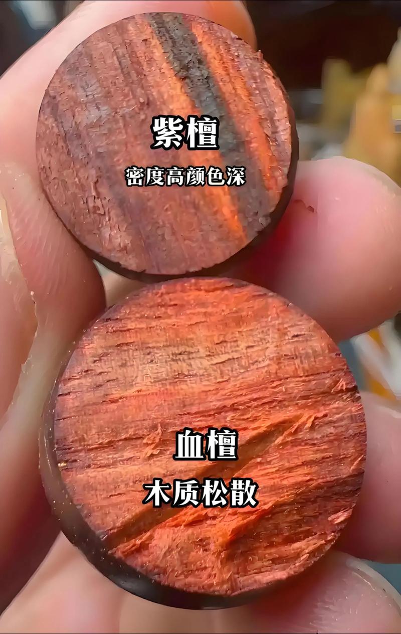 哪里有紫檀树苗?先看渠道,再看真伪 二、先确认是不是“真紫檀”