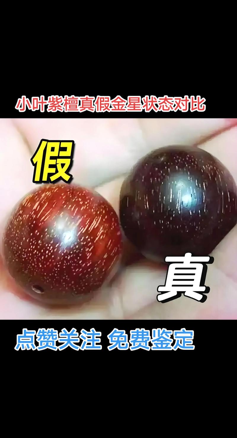 哪里有紫檀树苗?先看渠道,再看真伪 五、运输和检疫不能忽略