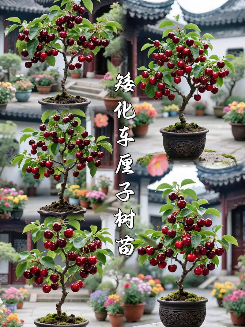 综合评估与采购验证流程