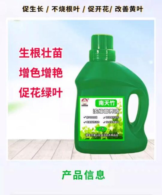 竹子养护指南：肥料选择与全年管理要点