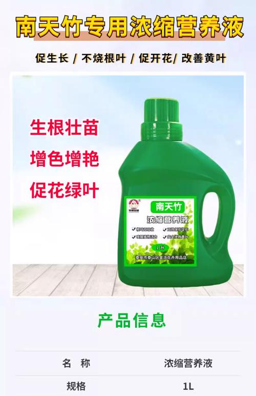 竹子养护指南：肥料选择与全年管理要点