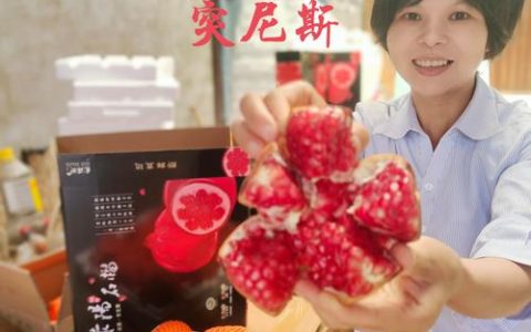 突尼斯软籽石榴哪一年引入中国？2026年种植与选购全攻略