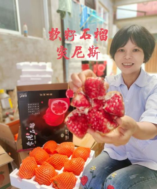 突尼斯软籽石榴哪一年引入中国？2026年种植与选购全攻略