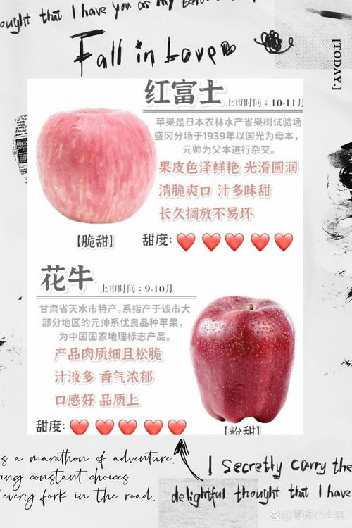 苹果为什么叫苹果?家庭种植与选购全攻略 苹果为什么叫苹果?家庭种植与选购全攻略