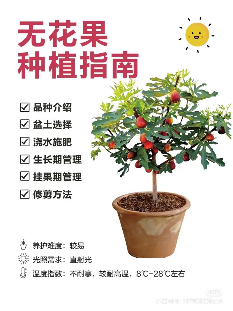 六、缓苗期管理