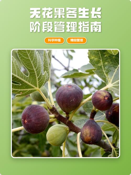 七、成活注意事项