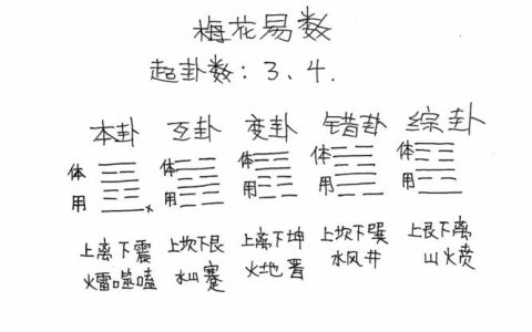 梅花六爻：一卦接一卦，解读梅花园艺中的文化密码